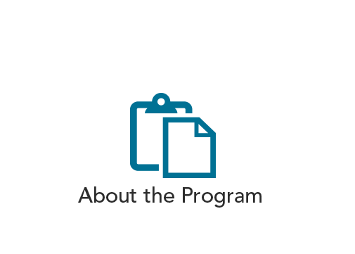 About the Program